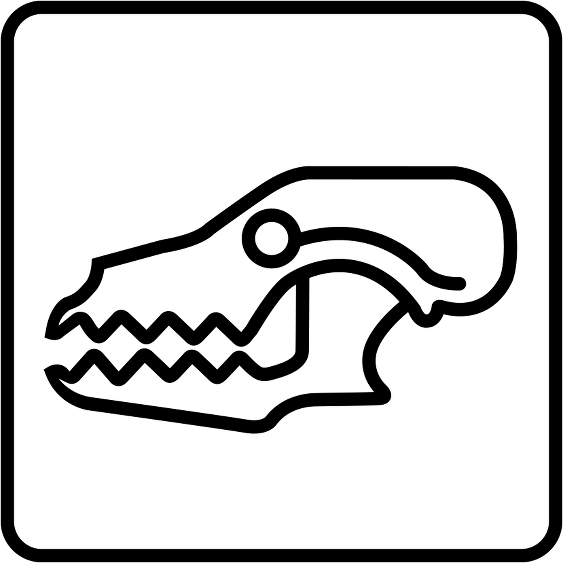 Kadaver r
